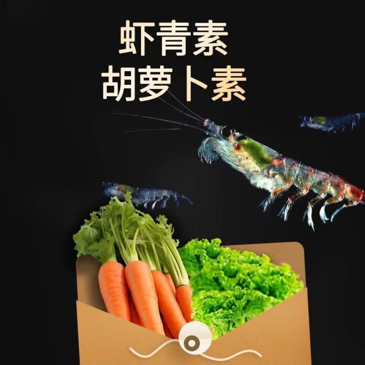 【苹果螺】观赏虾螺蟹粮虾饲料鳌虾饲料螺螃蟹饲料极火虾饲料 图片 5