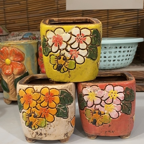 【闪购商品】红陶1