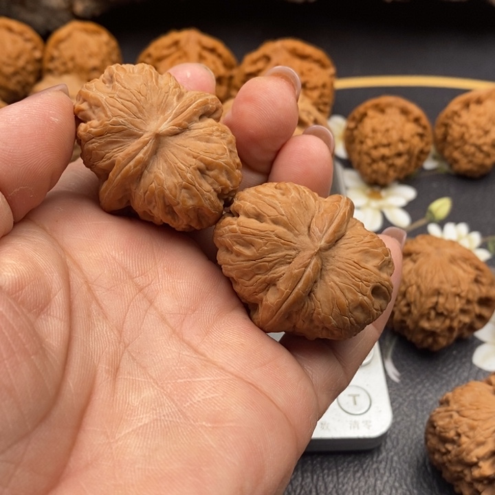 全品无修41新果元宝