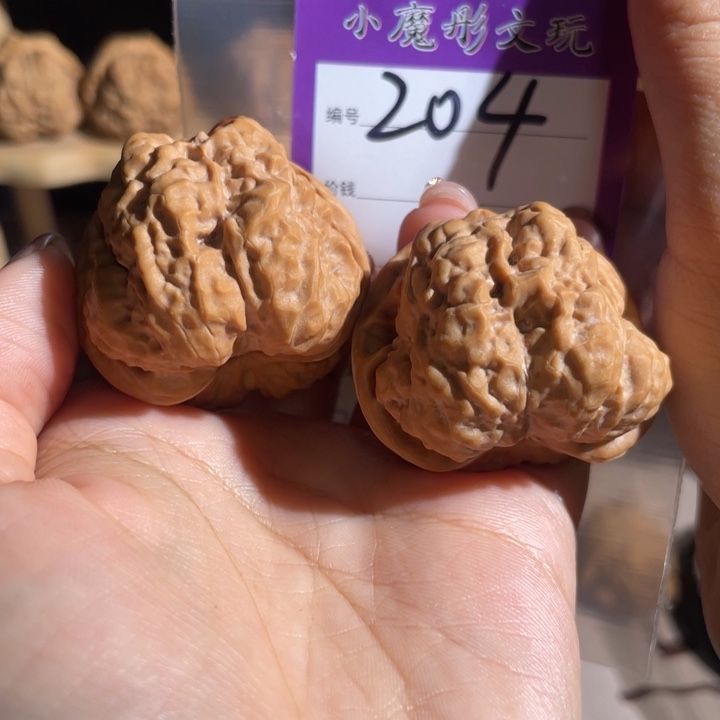 204号 哇啊啊 4000