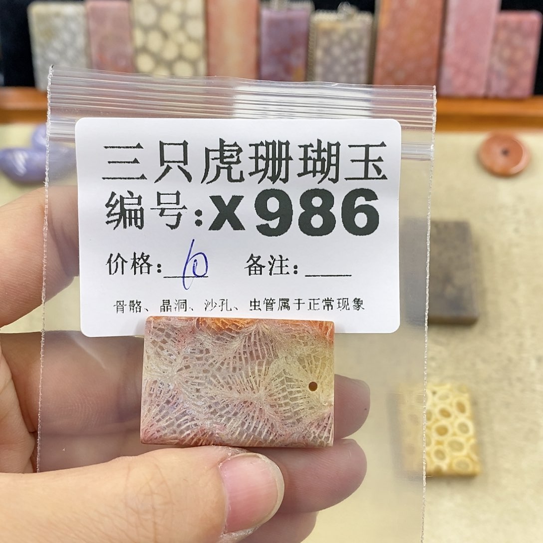 硅化珊瑚（珊瑚玉）1未镶嵌k***n