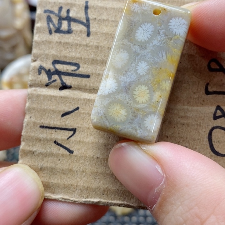 硅化珊瑚（珊瑚玉）颈饰未镶嵌