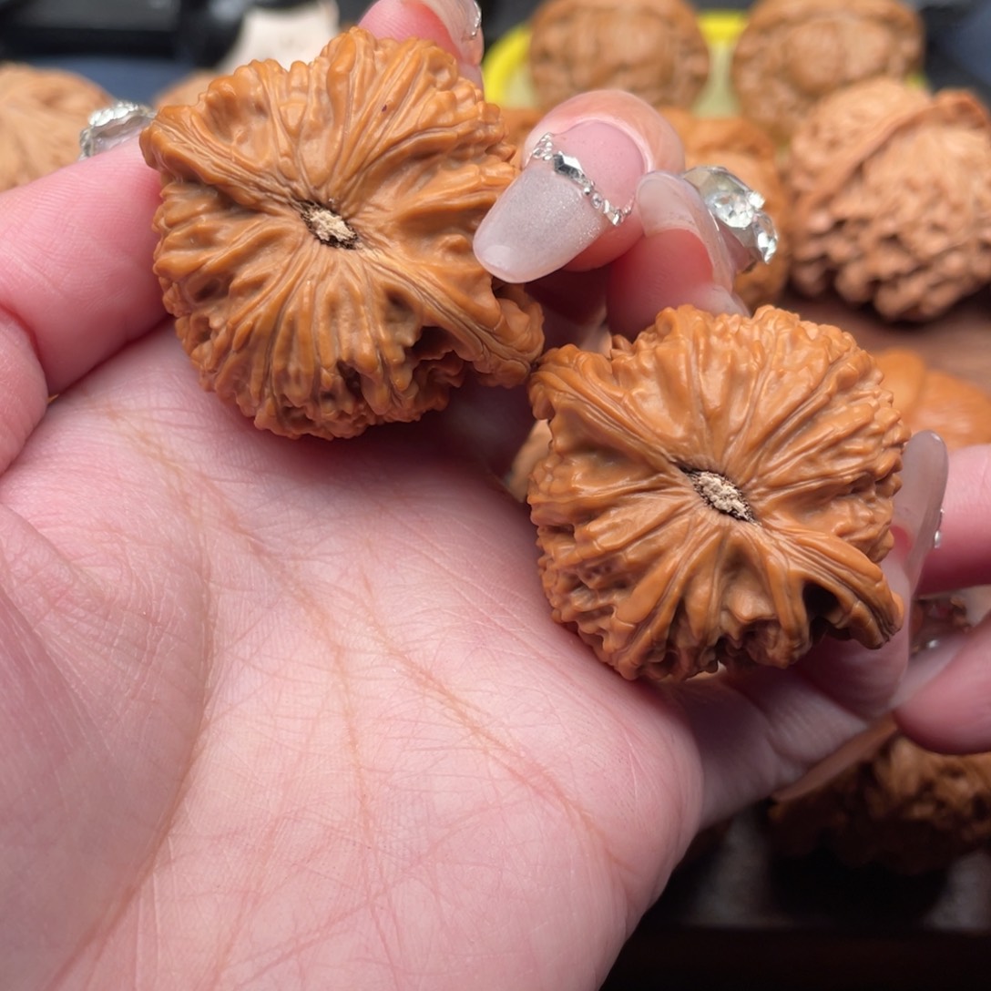 文玩核桃吊坠涛*儿全品白狮子42