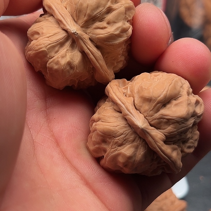 文玩核桃把件蛤蟆38