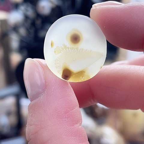 玛瑙/玉髓珠宝奇石未镶嵌