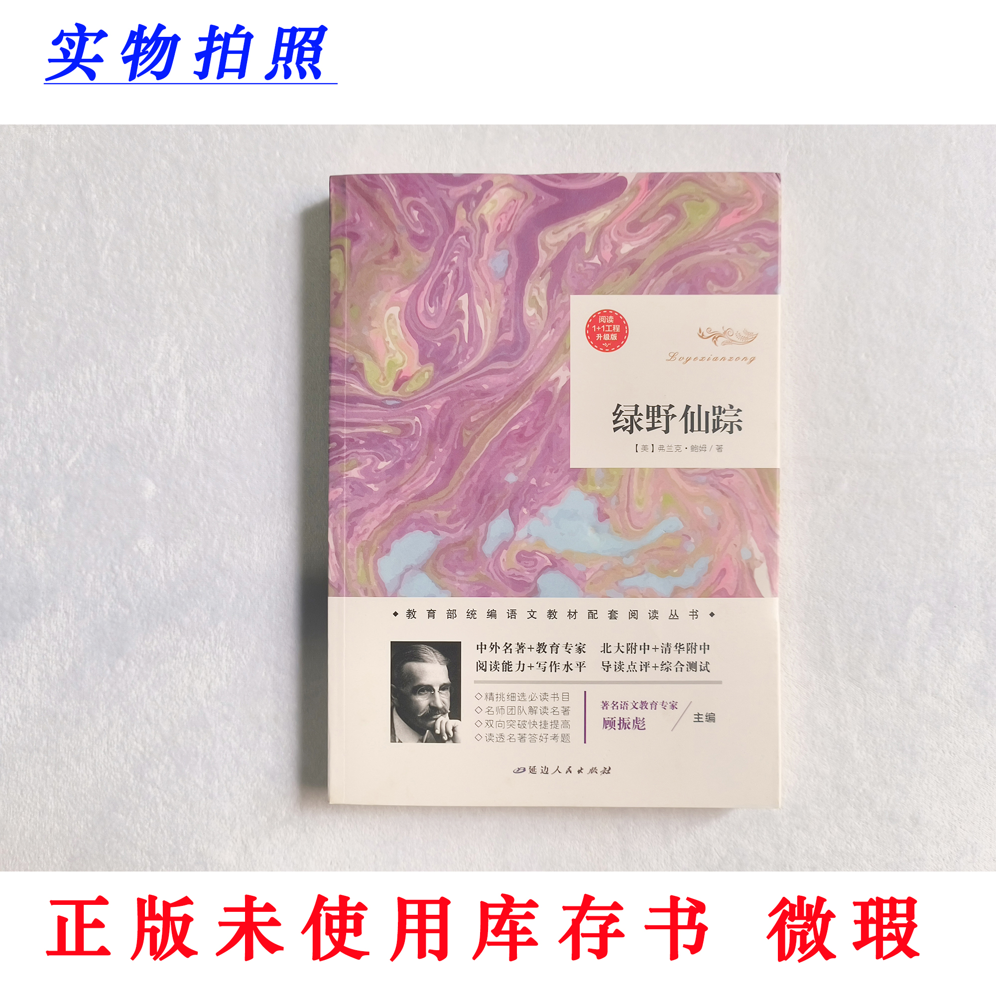 【正版未使用 微瑕】绿野仙踪 阅读1+1工程升级版 含名师旁批