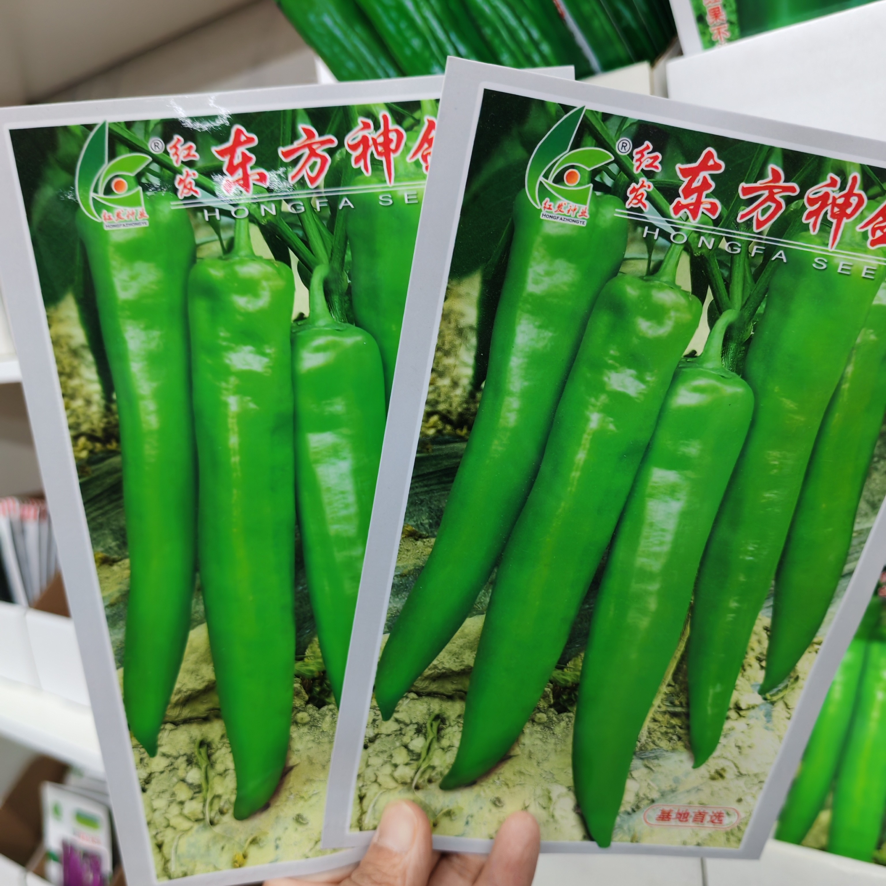 东方神剑羊角椒种子早熟大果粗羊角辣椒种籽味浓黄绿抗病高产种孑