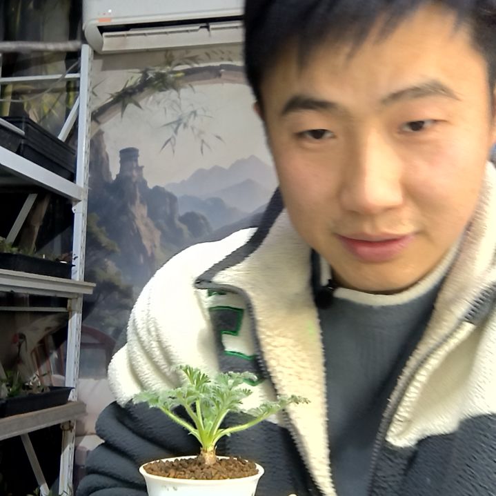 翔***宇中青园艺一物一拍花207