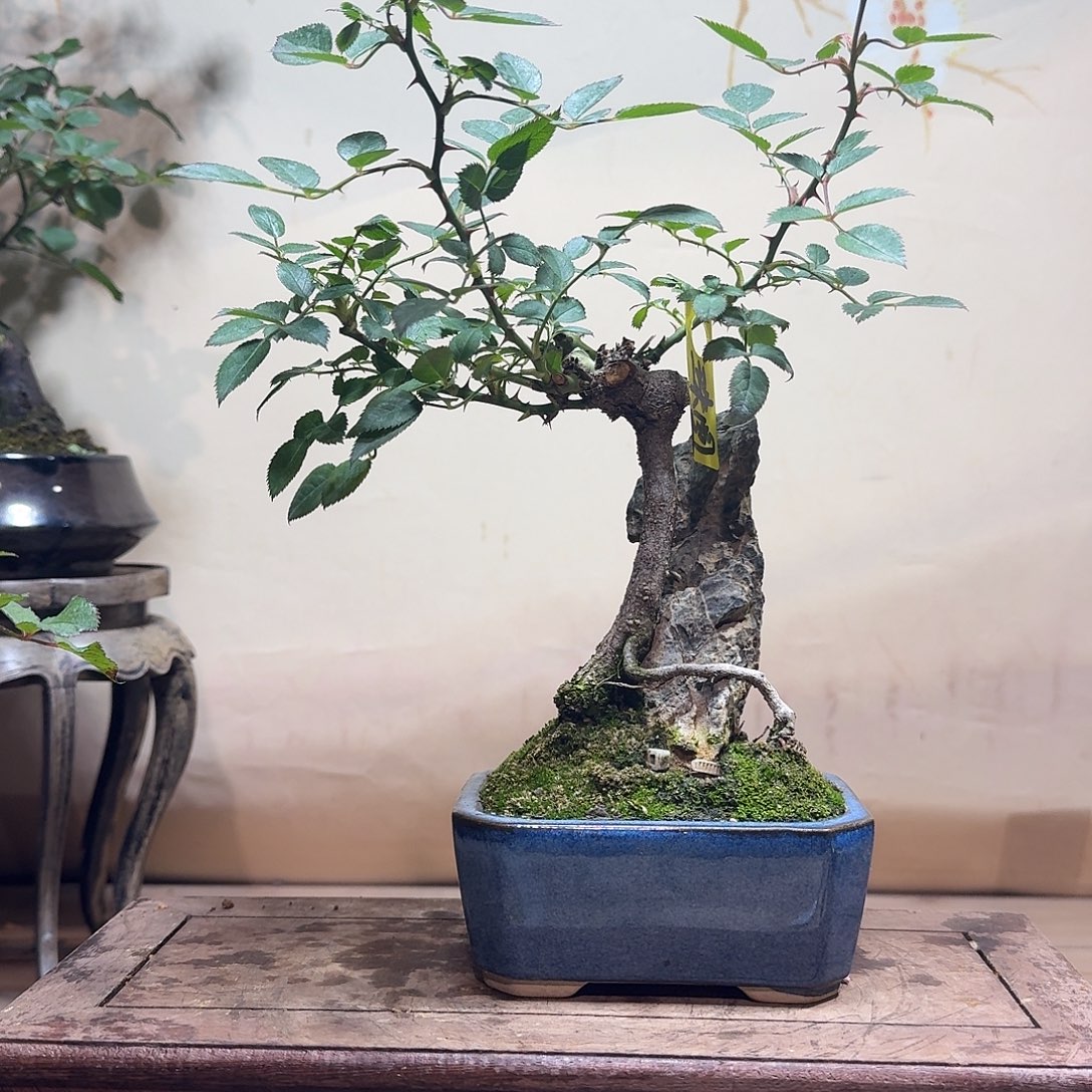 完全开放7888777777