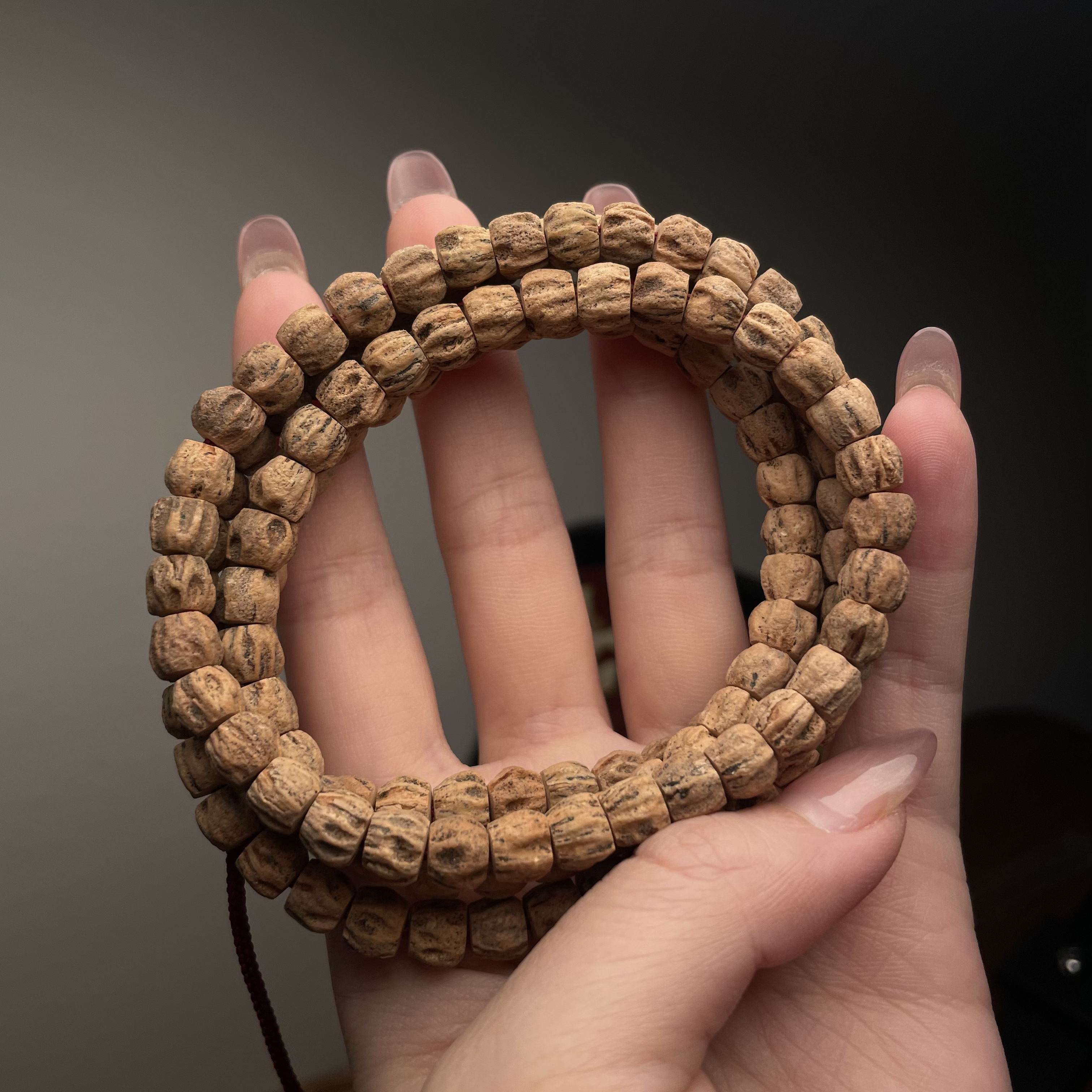 粉皮直切多棱鬼脸