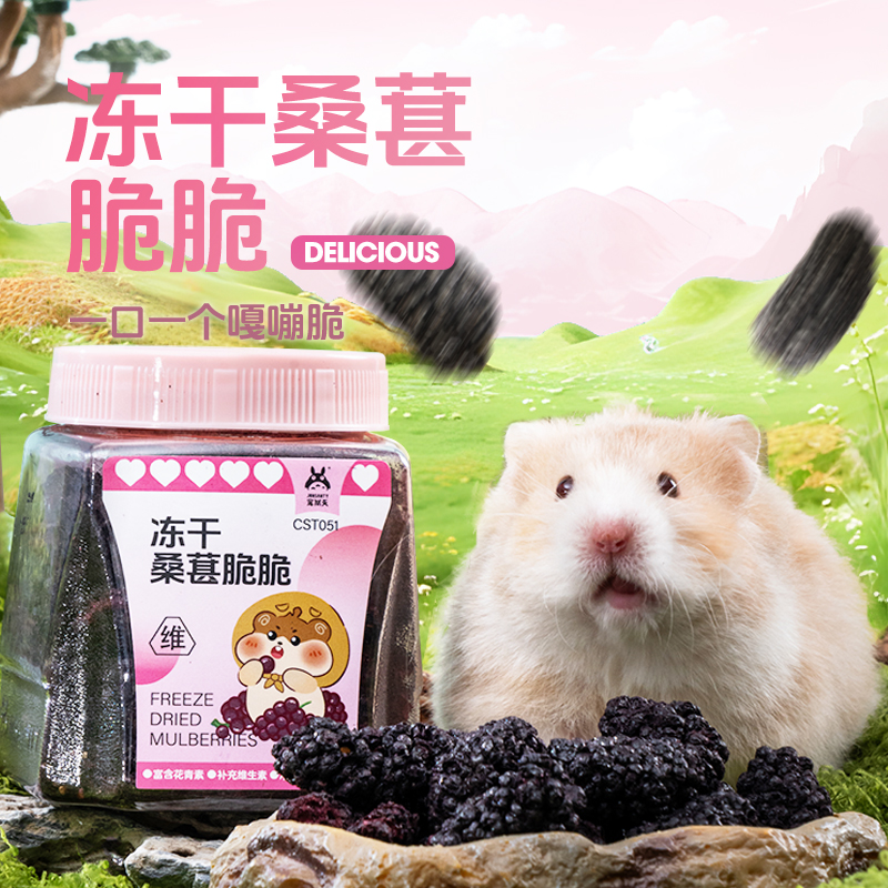 宠尚天仓鼠桑葚冻干零食高营养高维C蓝莓冻干金丝熊鹦鹉零嘴小食