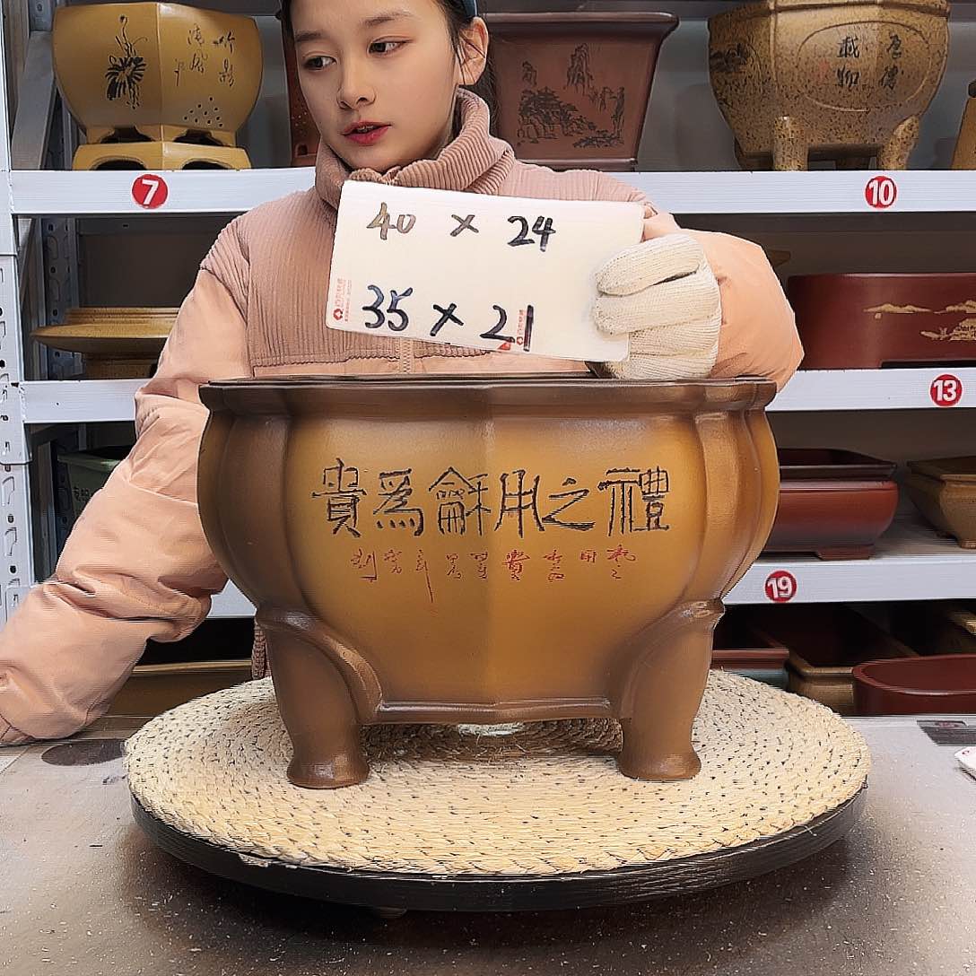 紫砂花盆紫砂花盆