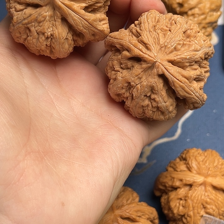 文玩核桃把件青**笙粗筋46