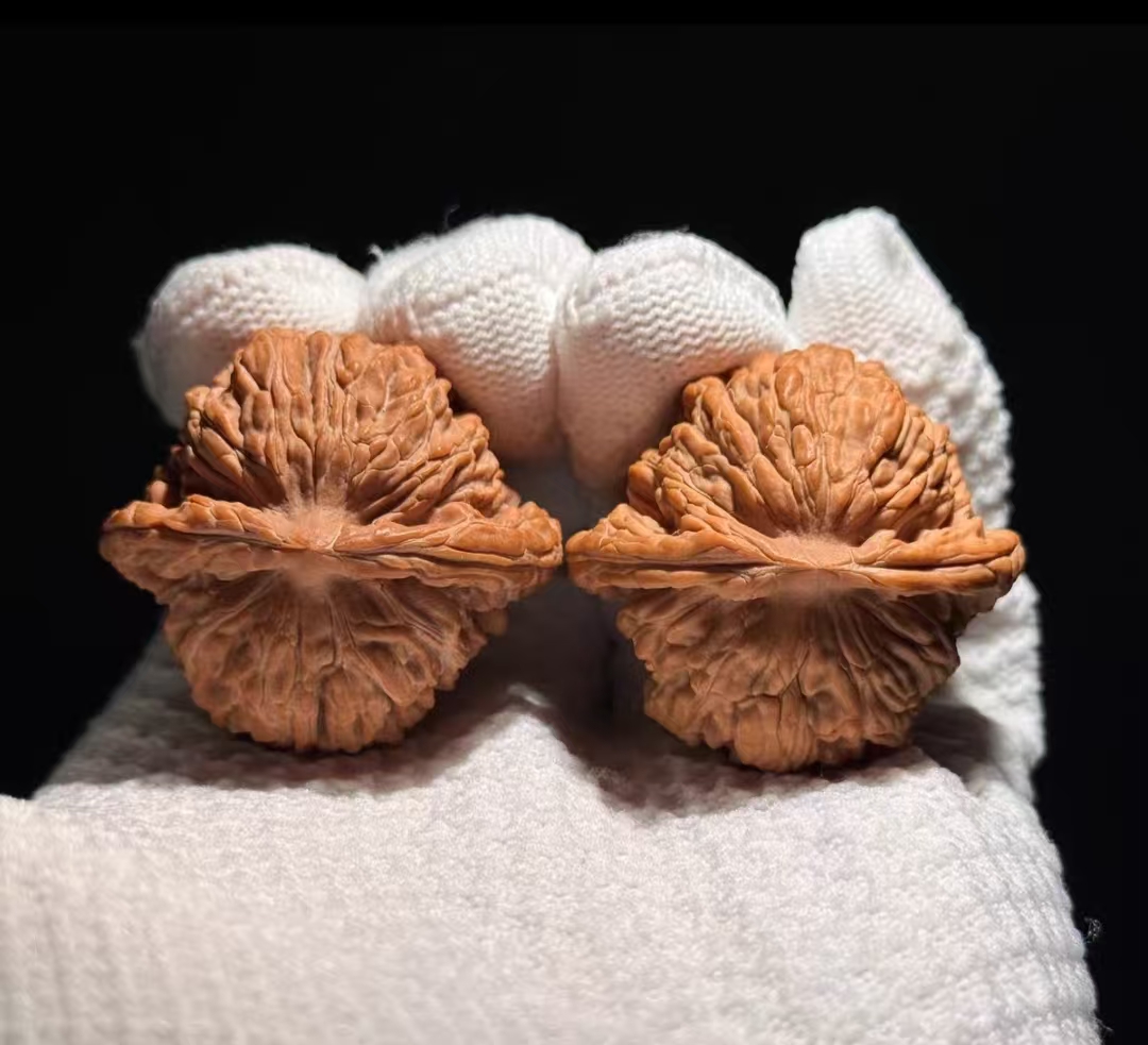 全品红皮粗楞四座楼