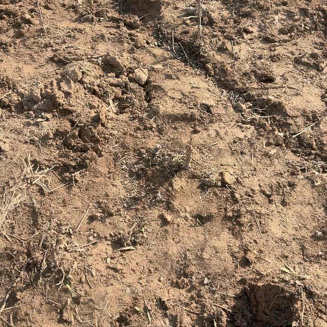 完全开放摇晃888888