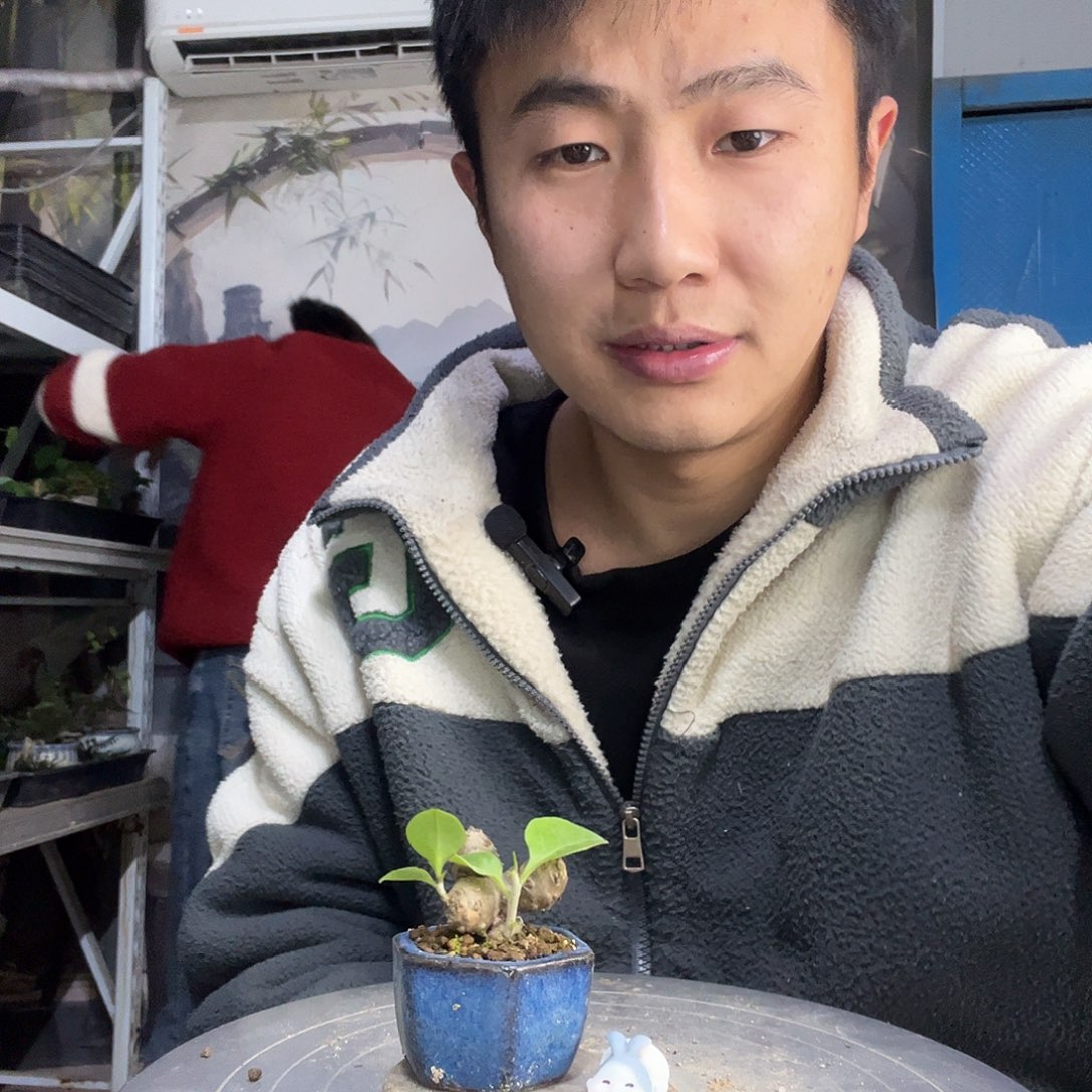 阿***呀中青园艺一物一拍71