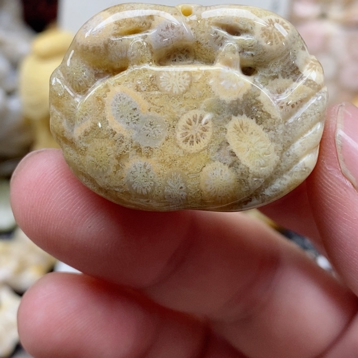 颈饰未镶嵌硅化珊瑚（珊瑚玉）