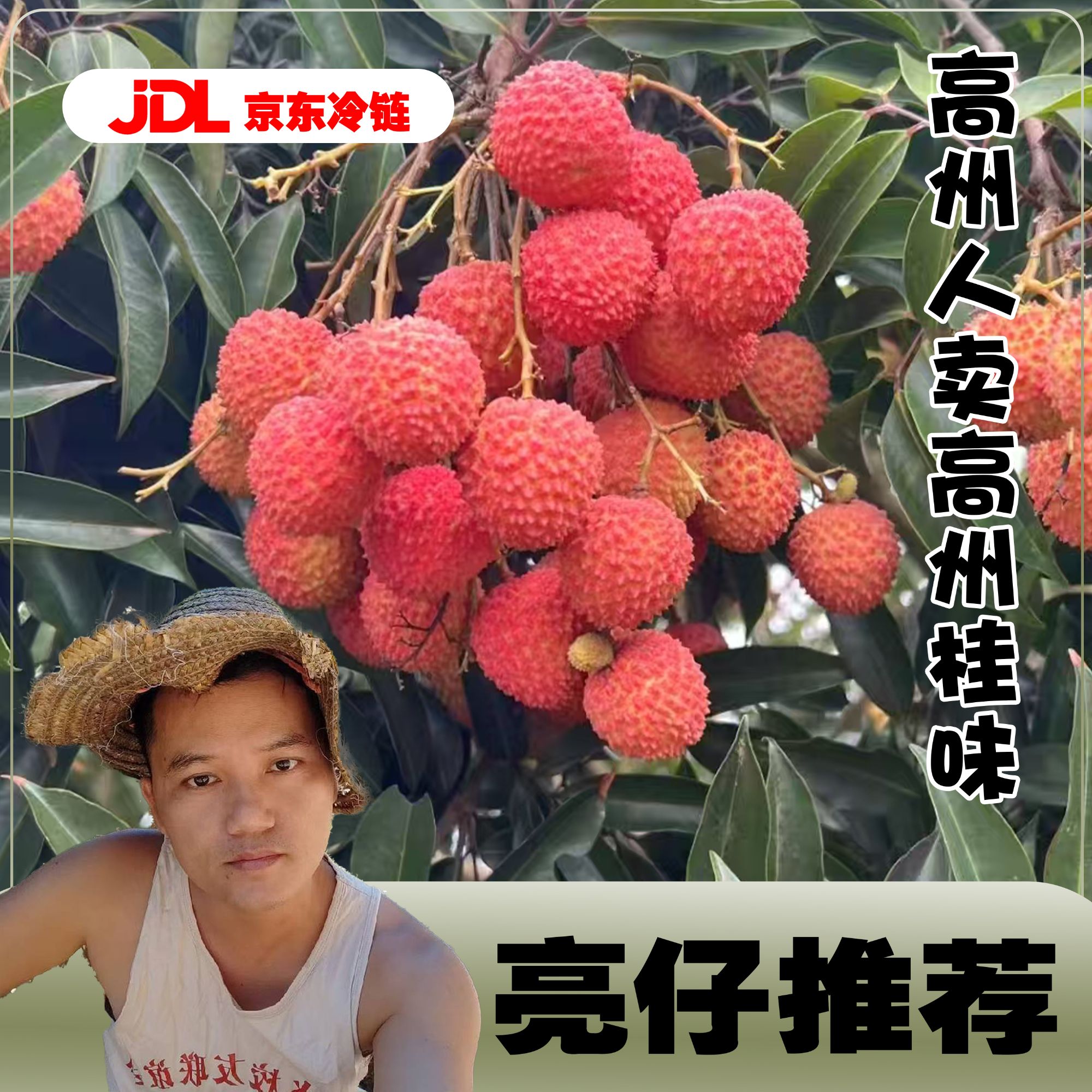 省（内）10斤高州桂味肉厚香甜多汁京东冷链包邮当季新鲜现摘荔枝