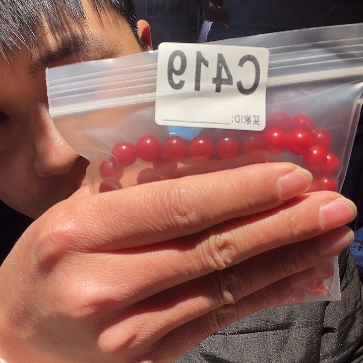 大果紫檀（缅甸花梨）419