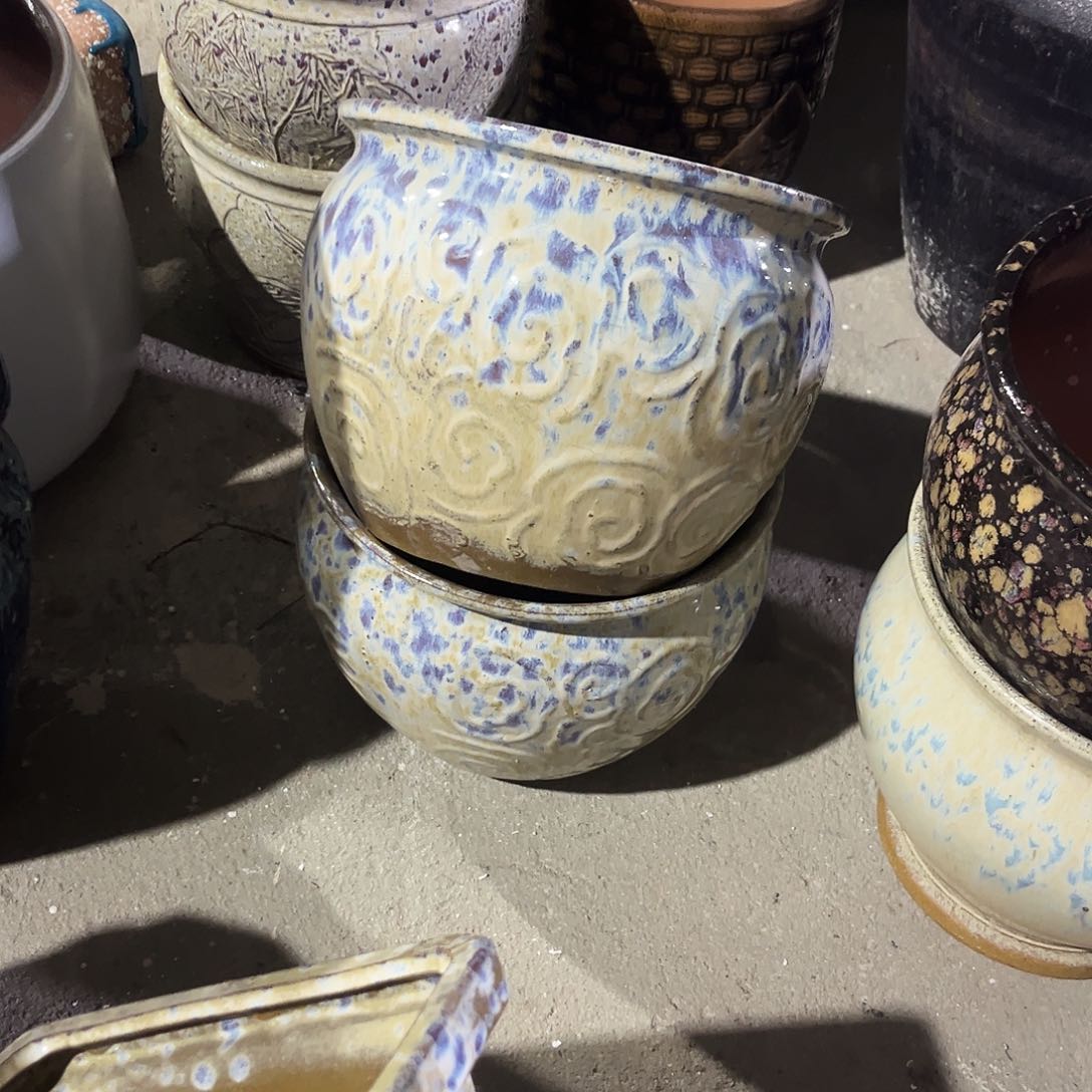 紫砂花盆里的小猫咪