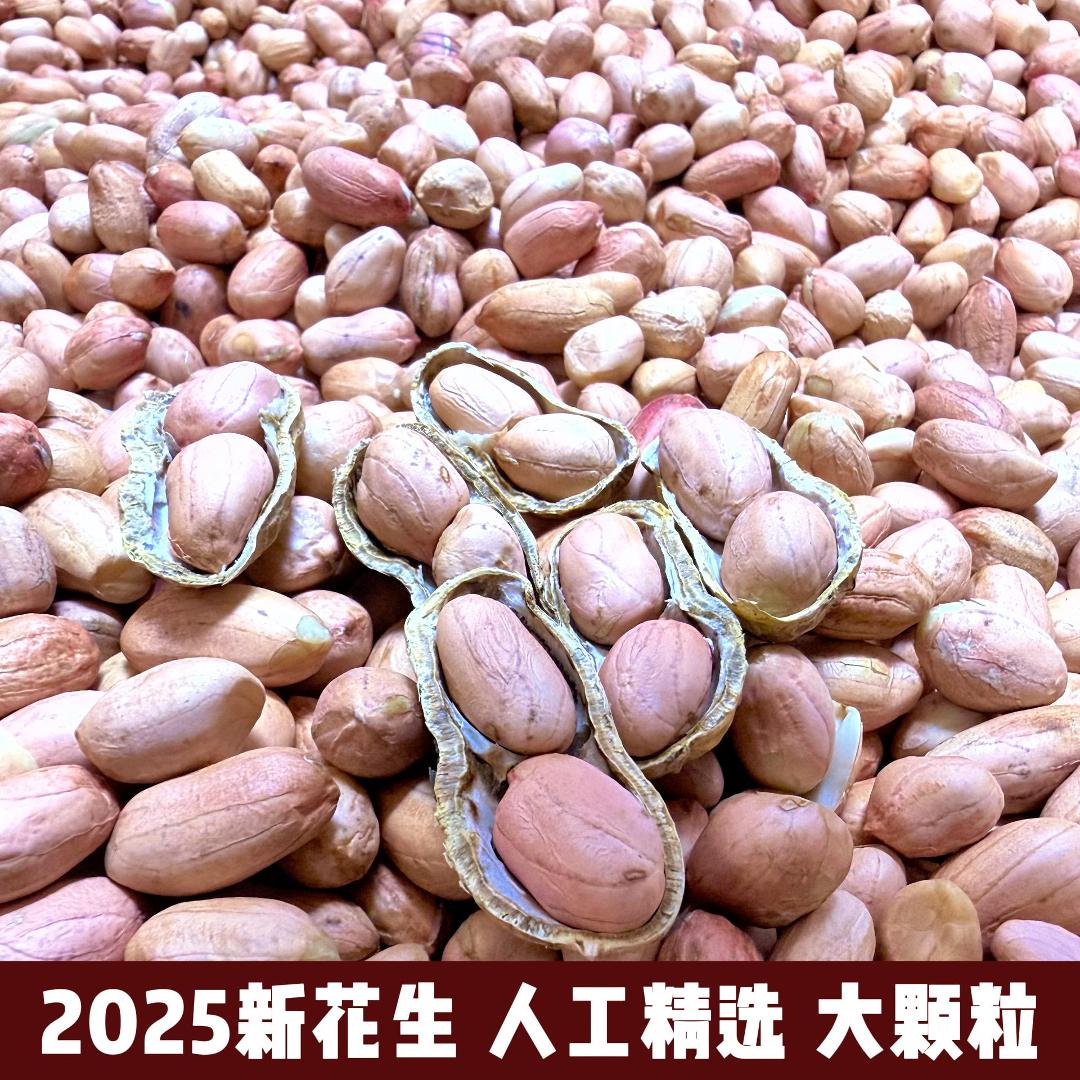 2025年花生米粉皮花生米现剥精品花生米新鲜花生大粒花生农家自种