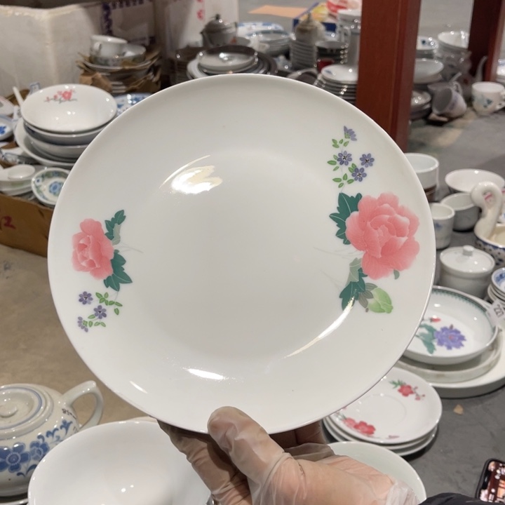 醴陵高温瓷釉下手绘9寸带像