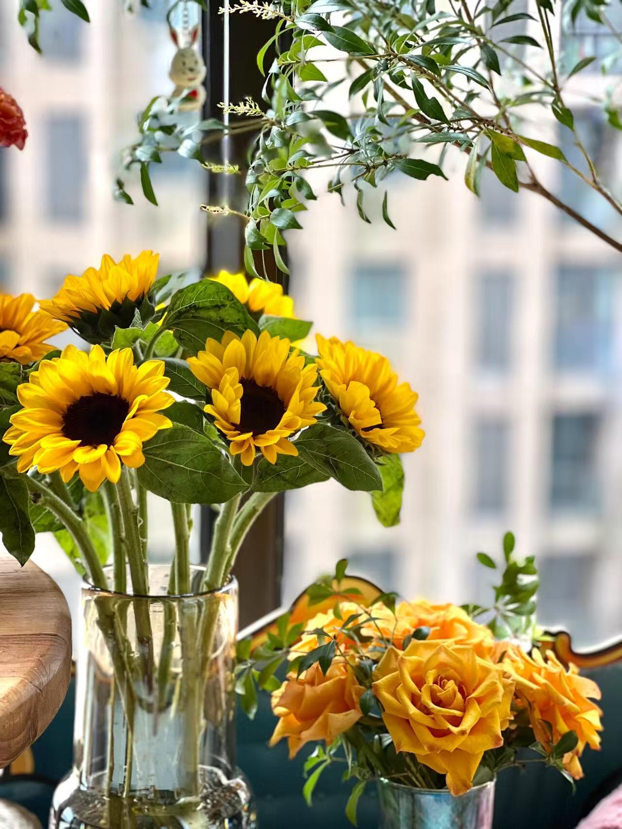 【六哥花卉】毕业季向日葵花束鲜花云南基地直发 