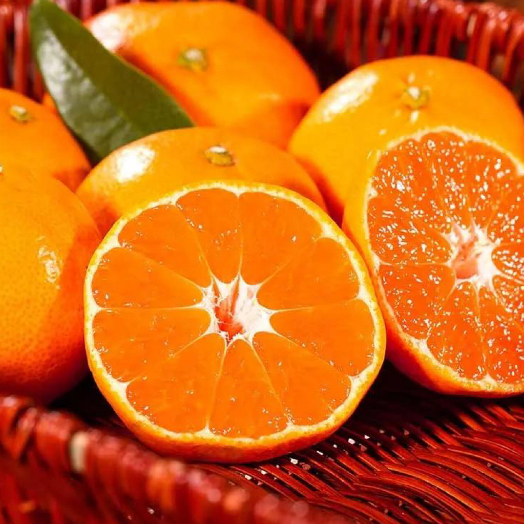 涌泉mi ju无籽mi ju500g/份