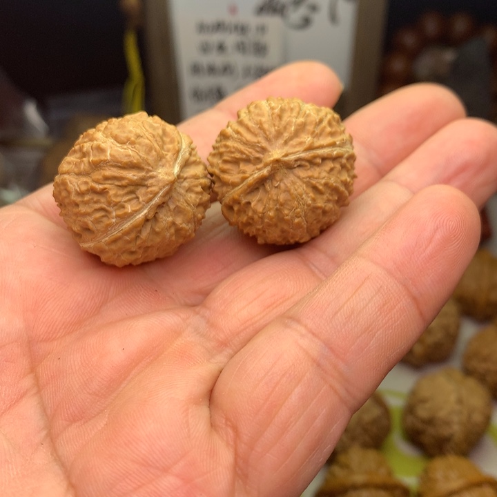 文玩核桃把件小麻豆