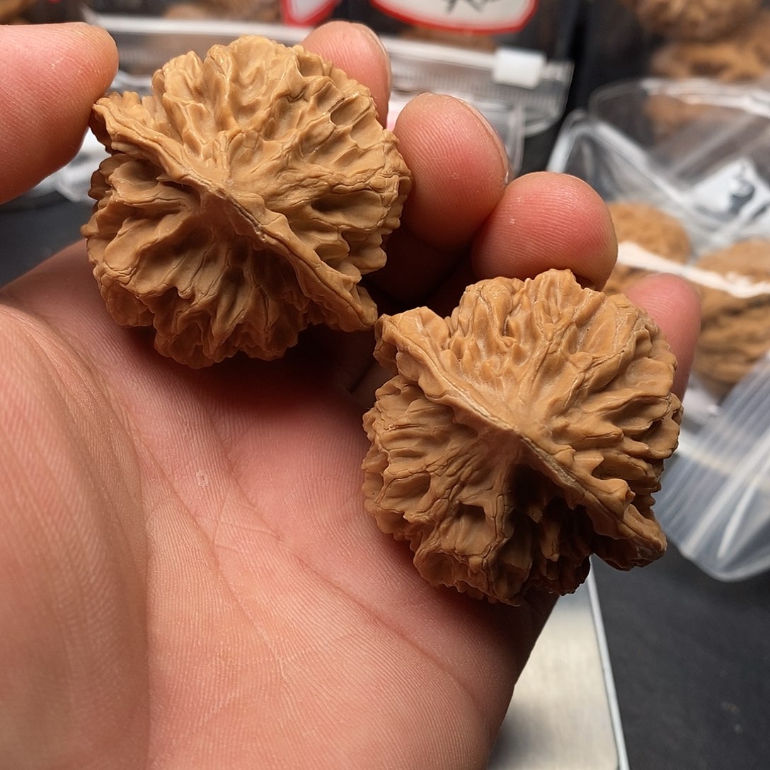 文玩核桃把件微*帝王47