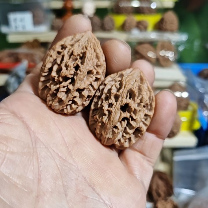 33加尺寸，秦岭野生鸡心