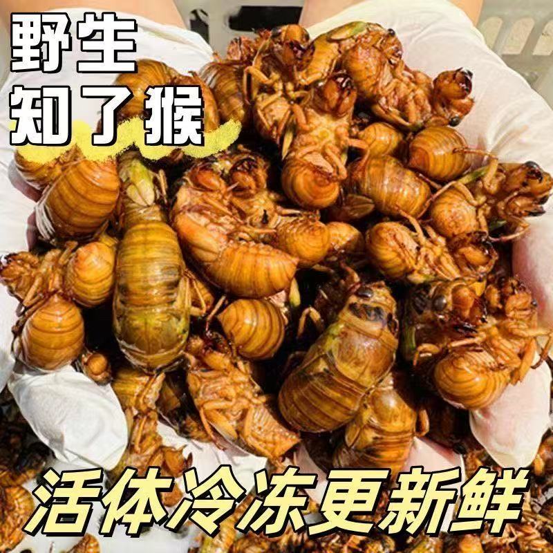 En【2025年新货】大爬叉新鲜