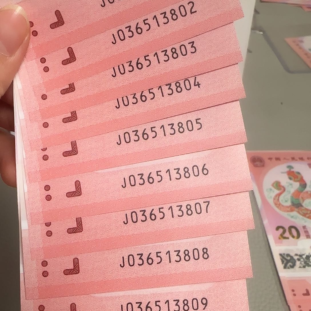 塑料蛇年纪念钞365天一生发标十