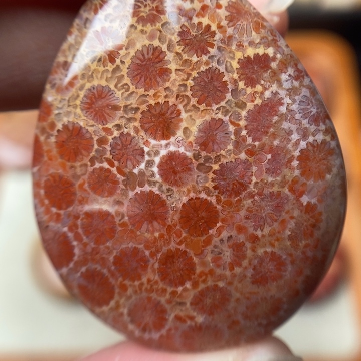 硅化玉颈饰未镶嵌白*忠