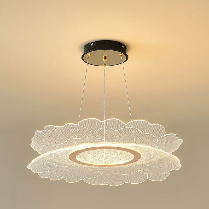 雩嘉led餐厅吊灯大气客厅灯后现代简约轻奢灯具2025新款网红环形