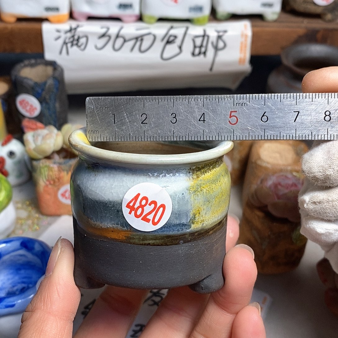 红陶拍5送一个小