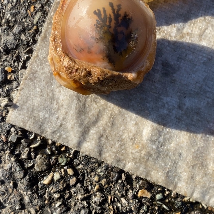 未镶嵌石英质玉（黄龙玉）颈饰