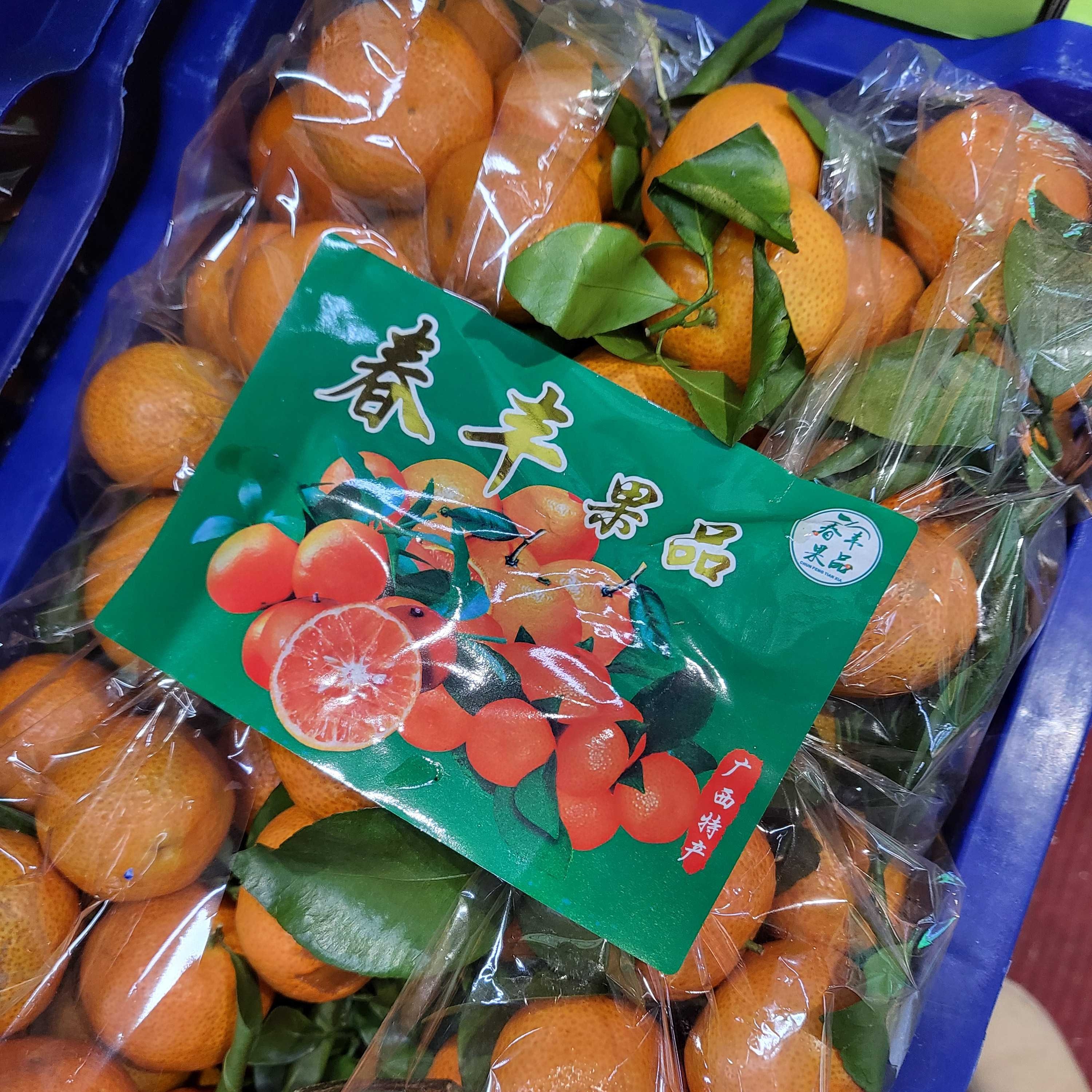 沙糖桔1箱毛重9.5斤