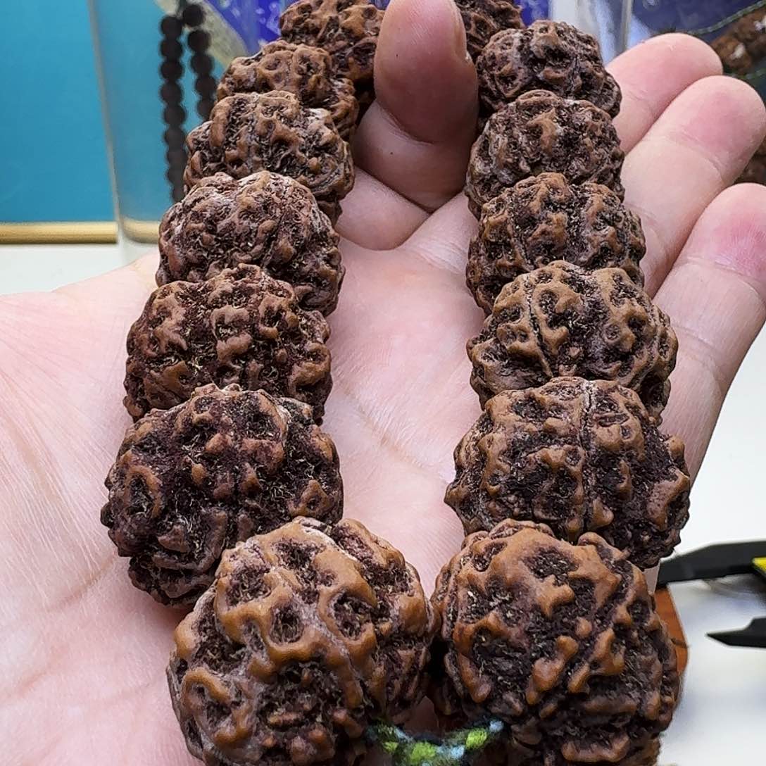 金刚菩提手串天然纽扣梅花