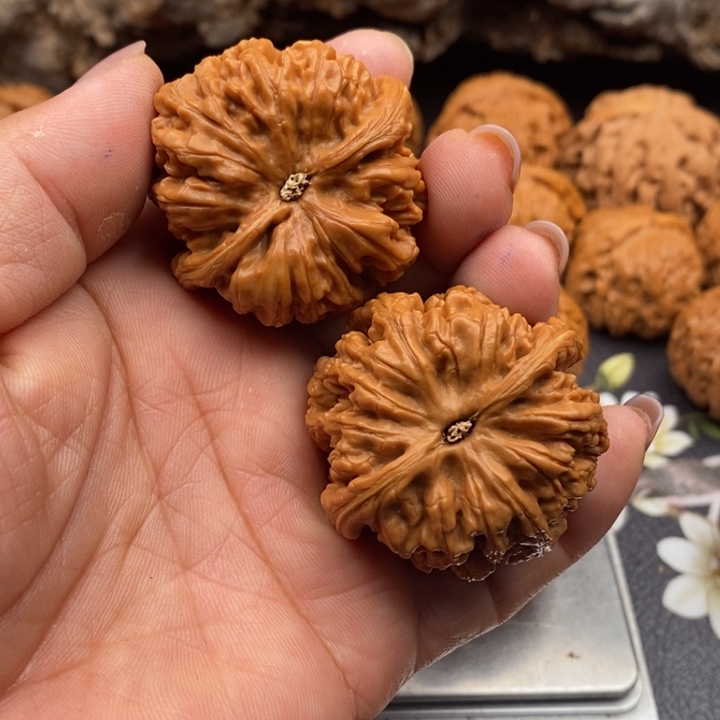 微修42新果大粗筋