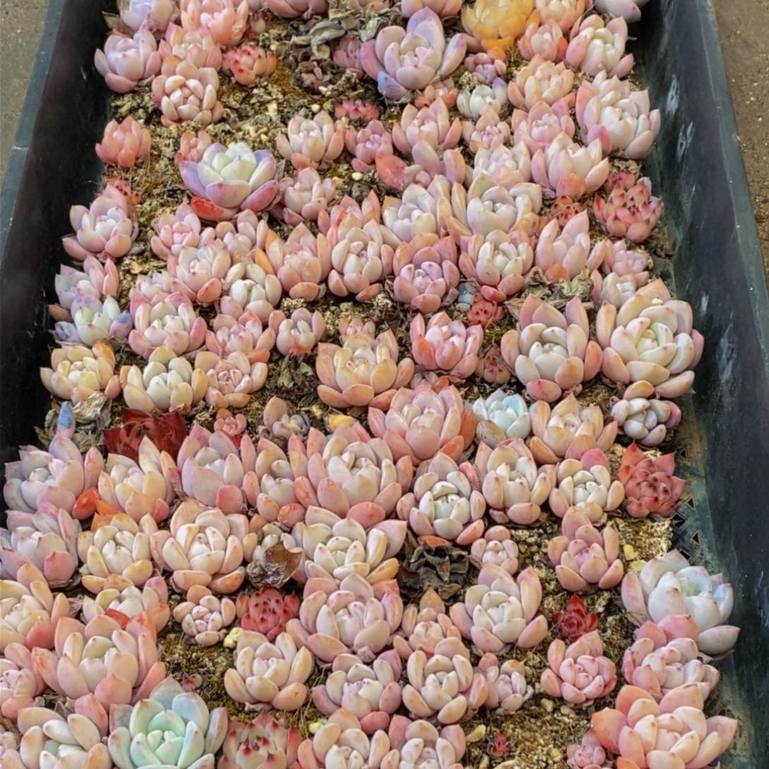 649的人和我一起看电影