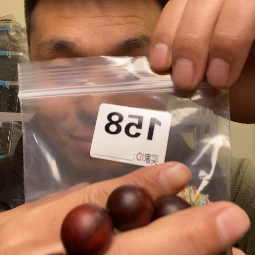 【闪购商品】核桃木/黑胡桃（胡桃木）158