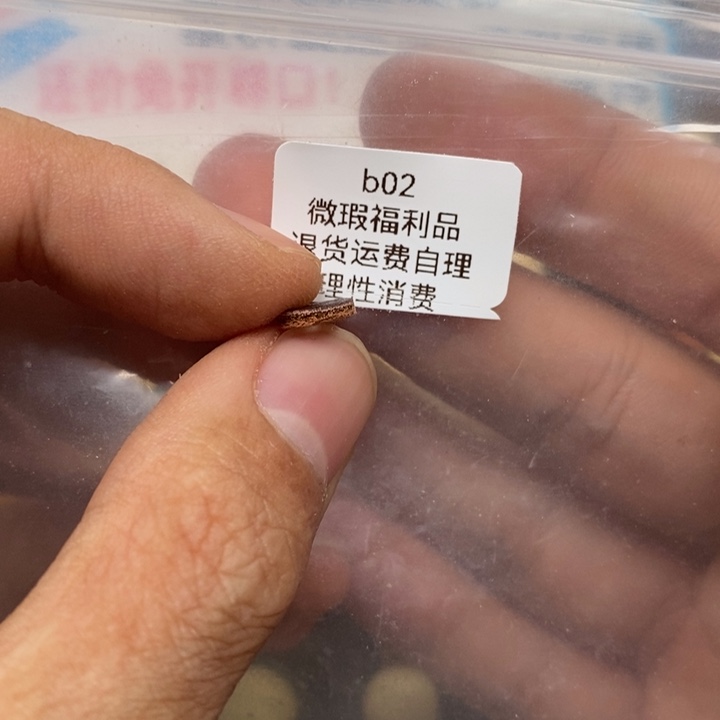 C***C蜜蜡未镶嵌裸石嗯