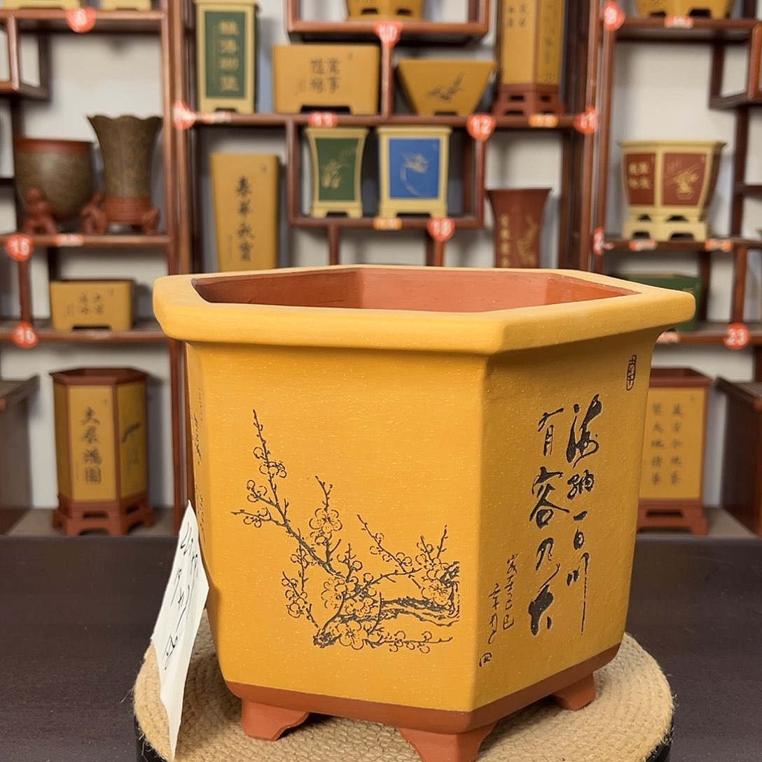 紫砂花盆紫砂花盆