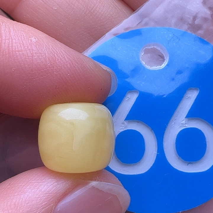 蜜蜡裸石未镶嵌11.7m m