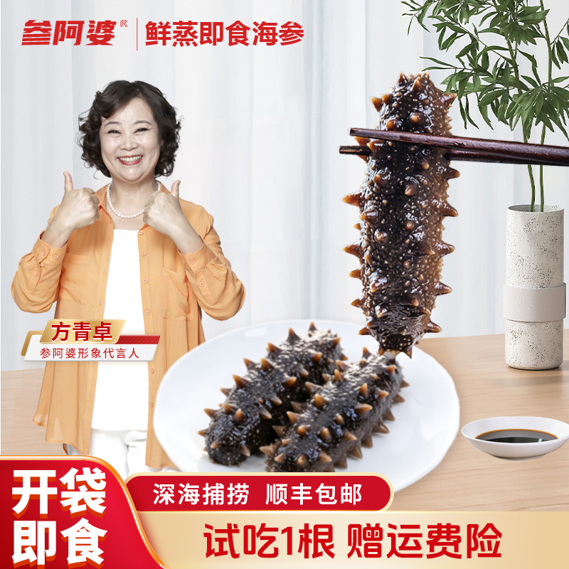 海参【参阿婆】10只/斤鲜蒸即食海参开袋即食海刺参可配礼盒单只装商品图