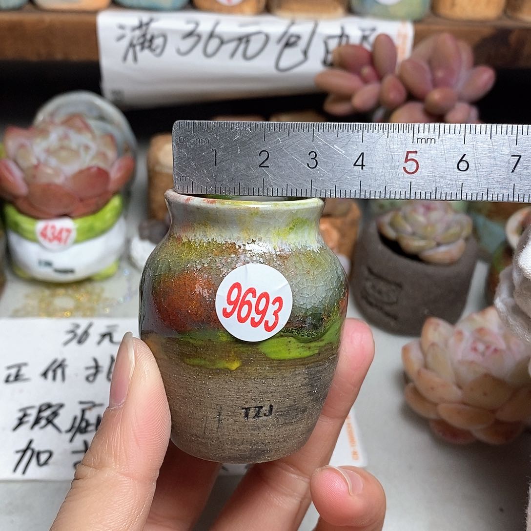 红陶拍5送一个小