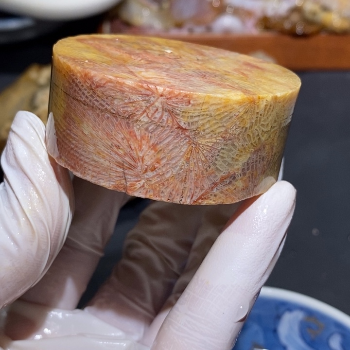 【闪购商品】未镶嵌珊瑚玉硅化玉