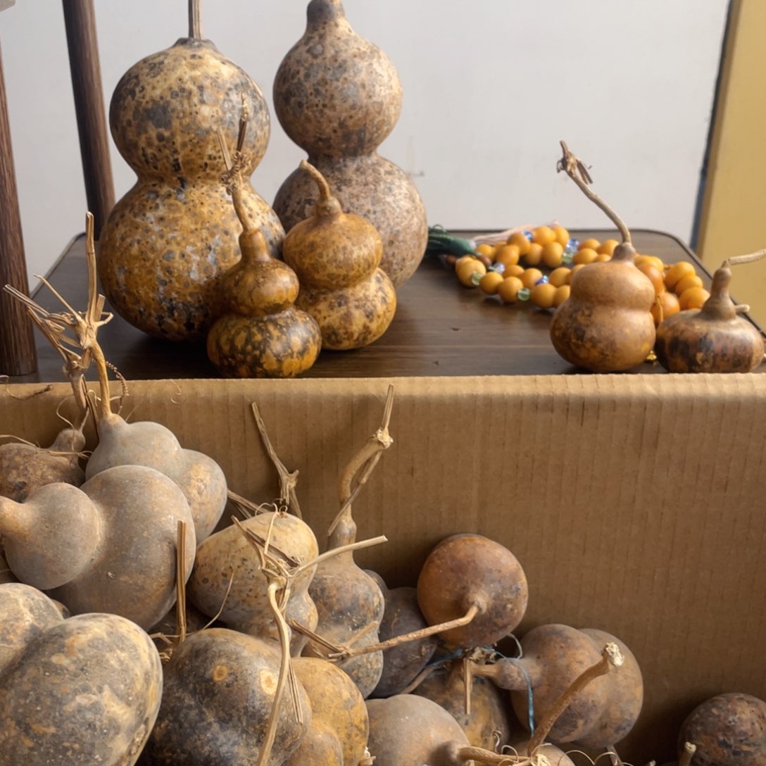 香榧木後**人葫芦葫芦