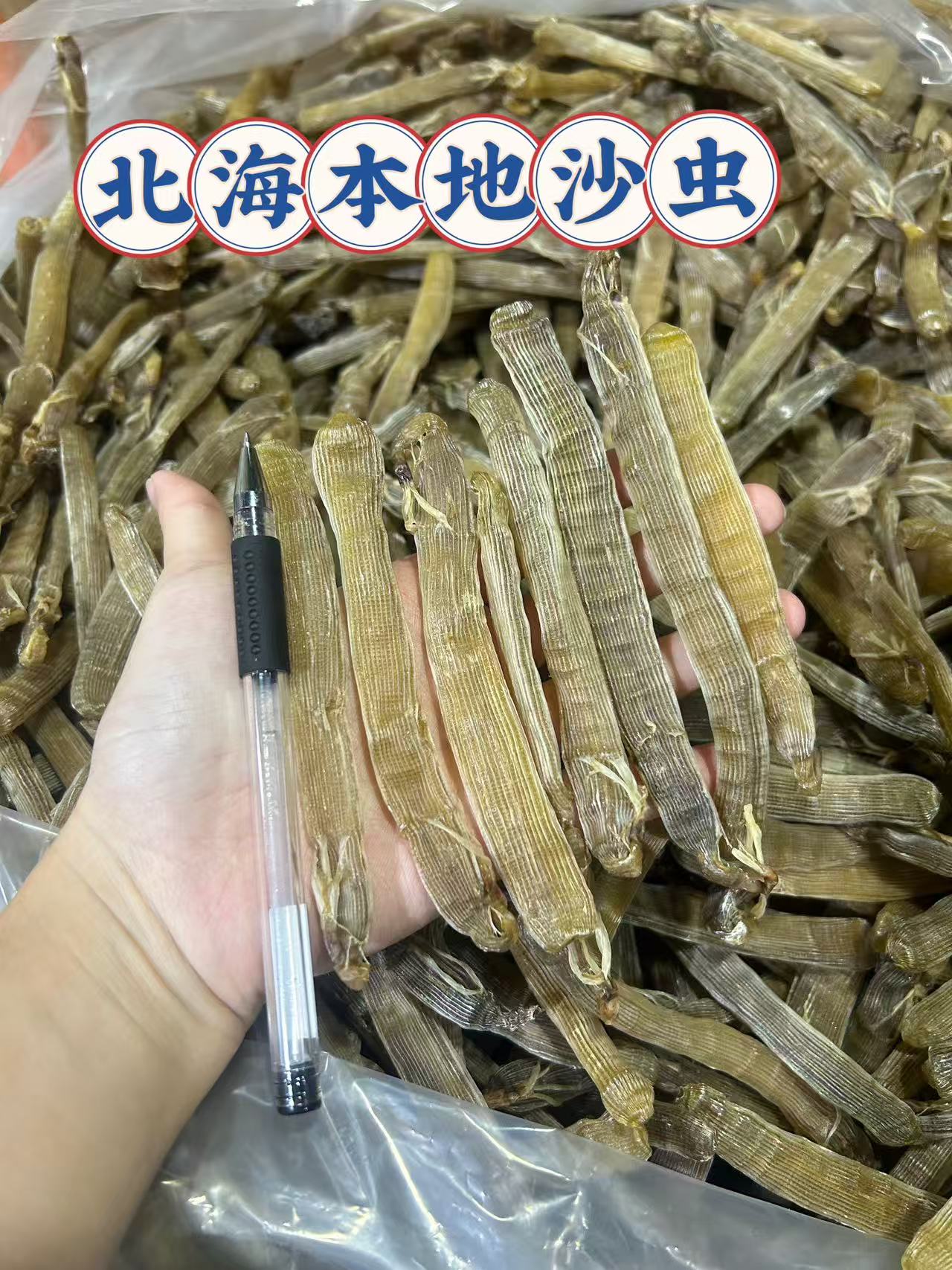 北海本地沙虫超大号鲜甜（暗黄）